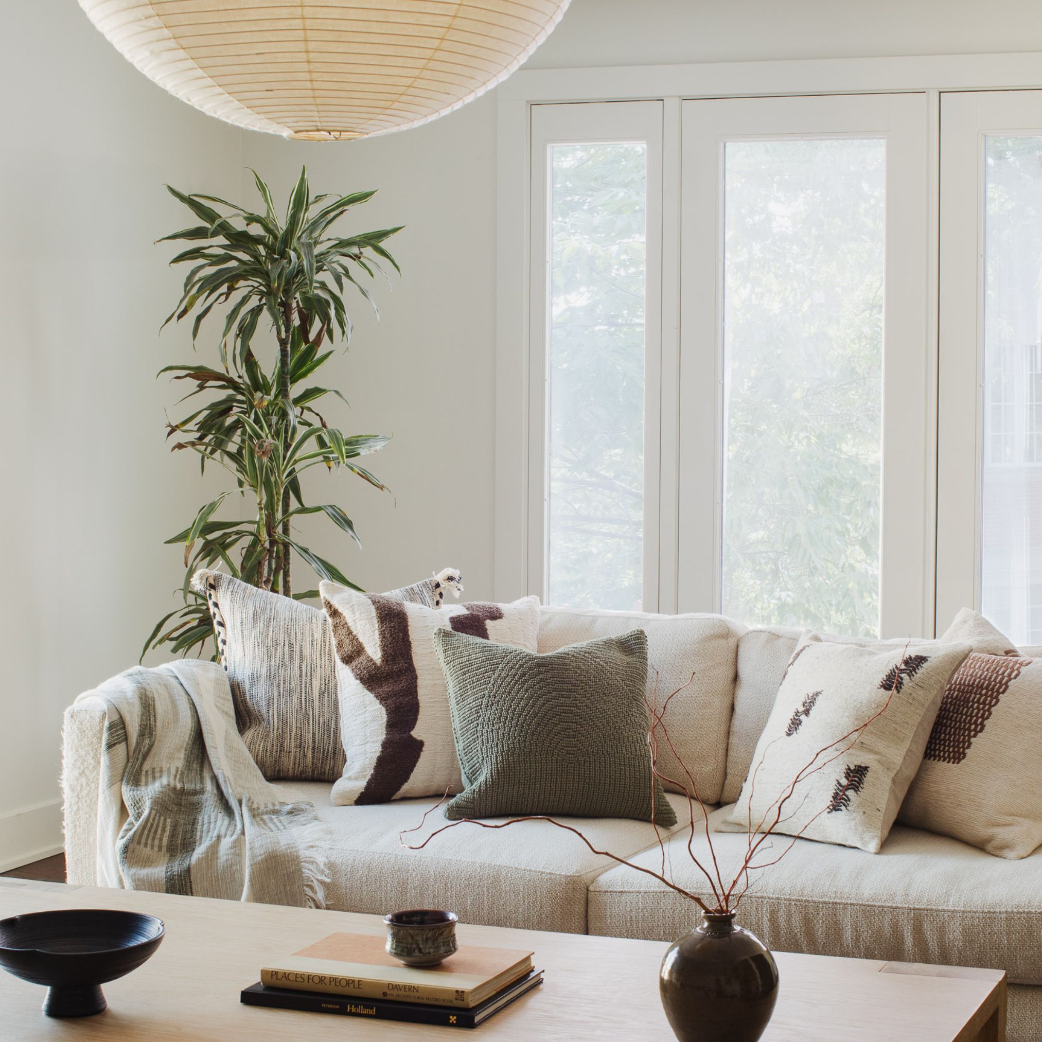 Living room scene with a couch, pillows and a potted plant