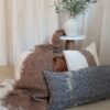 Light blue pillow on a textured gray couch with a rust throw blanket, next to a small potted plant