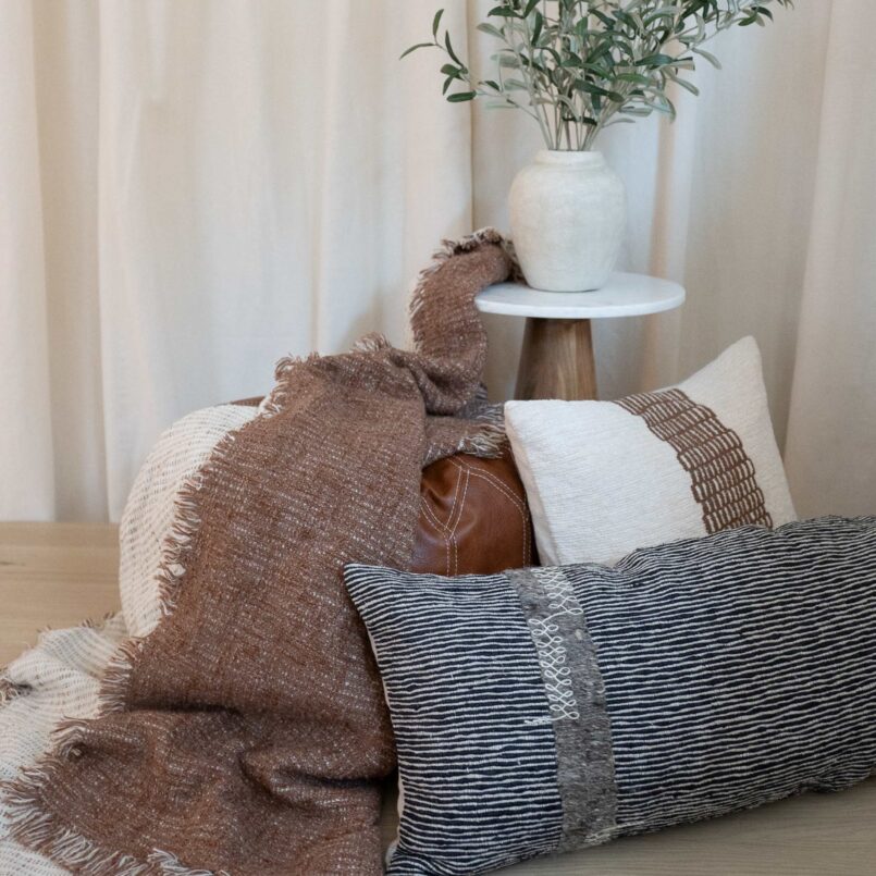 Light blue pillow on a textured gray couch with a rust throw blanket, next to a small potted plant